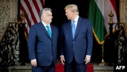 Hungarian Prime Minister Viktor Orban (left) and former U.S. President Donald Trump during their meeting in Florida on March 8.