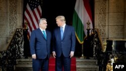 Венгриянын өкмөт башчысы Виктор Орбан жана АКШнын мурдагы президенти Дональд Трамп. 8-март, 2024-жыл. Орбандын кеңсеси тараткан сүрөт.
