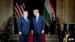 Kryeministri hungarez, Viktor Orban (majtas), dhe ish-presidenti amerikan, Donald Trump, takohen në mars në shtëpinë e Trumpit në Forida, SHBA.
