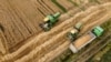 Žetva pšenice na poljima nedaleko od Prištine jula 2021.
