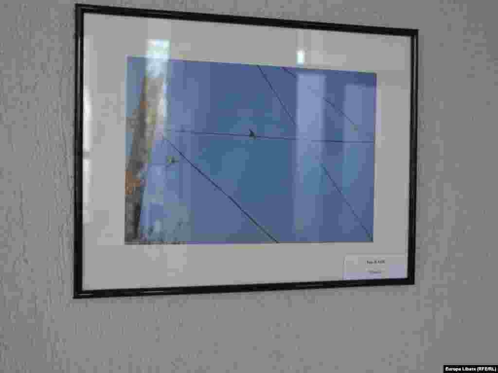 "Pasarie", autor - Ion Radu