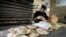 Ramadan in Sarajevo 2020