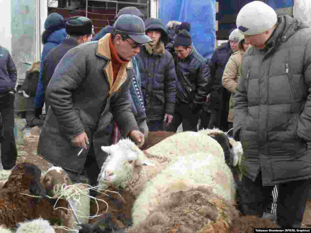 Койлордун эң кымбаты 18 миң сомго чейин. 