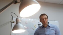 Вожак леммингов-самоубийц