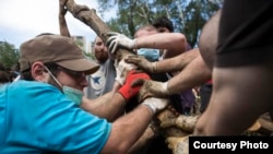 Минздрав сегодня сообщил об опасности распространения столбняковой инфекции среди тех, кто работает на территории, пострадавшей от стихийного бедствия