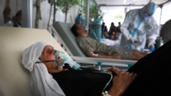 بیماران کووید-۱۹ در شفاخانه افغان جاپان در کابل