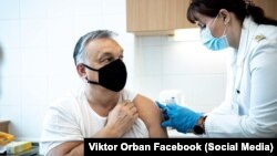 Hungarian Prime Minister Viktor Orban received his first Chinese Sinopharm vaccine in February.