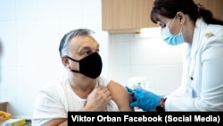 Hungarian Prime Minister Viktor Orban receives a Covid-19 vaccine shot earlier this month. 