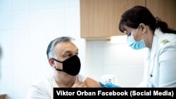 Viktor Orbana vaksin vurulur