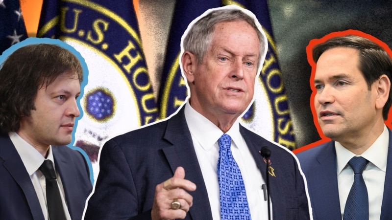 ეს არ არის გადატვირთვა - კონგრესმენი უილსონი რუბიო-კობახიძის ზარზე