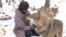 Living With Wolves In Northern Belarus