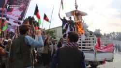 Afghan Protesters Demand Taliban Executions