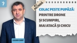 Lilian Carp, despre noua suprapunere de crize, drone și cererea de suspendare a Maiei Sandu