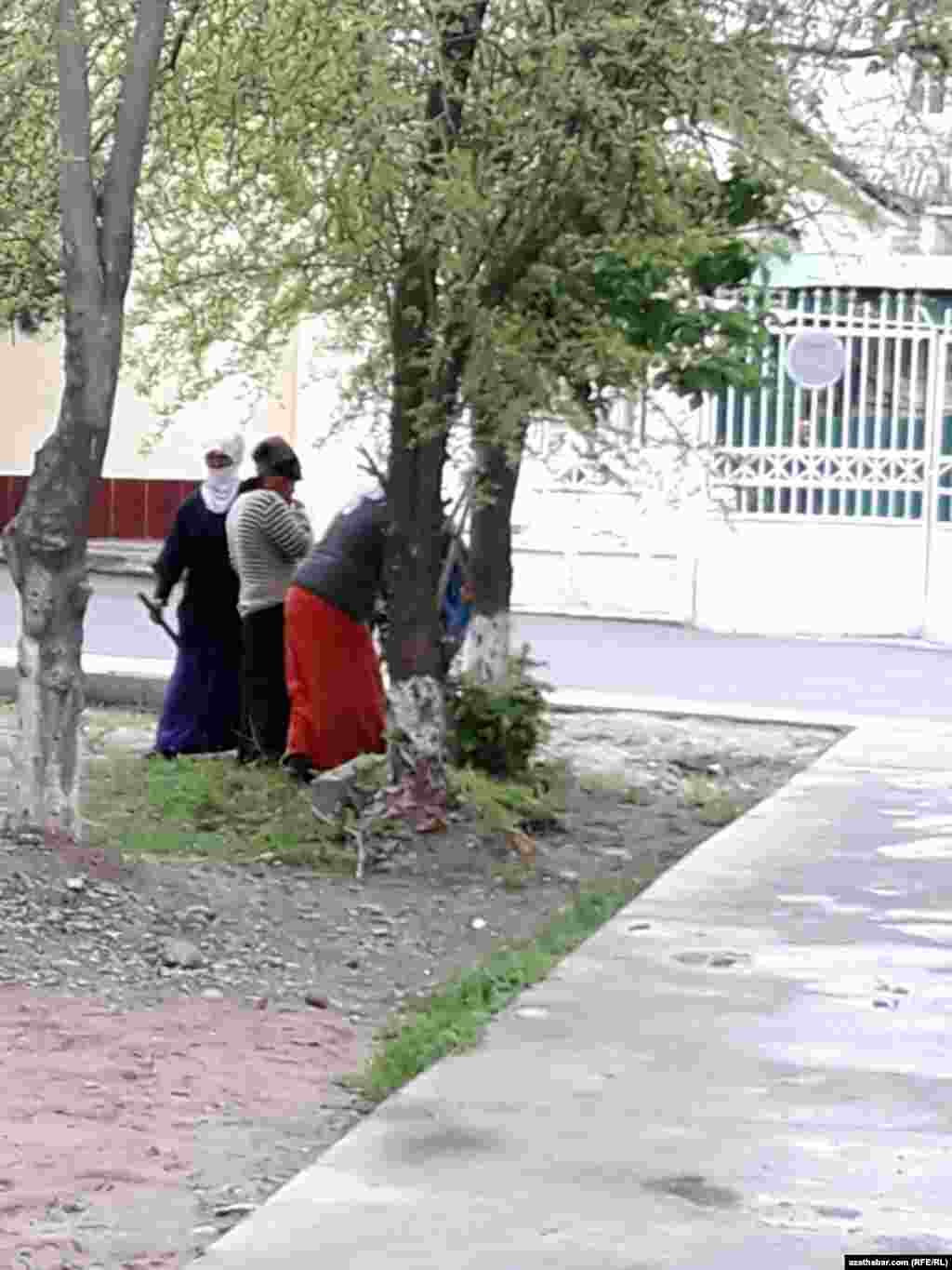 Aşgabatdaky arassaçylyk işleri &nbsp;