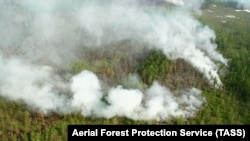 Лесные пожары в национальном парке "Ленские столбы", 2021 год