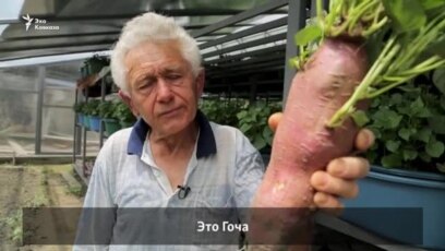 Вторая жизнь грузинского батата
