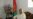 Afghan Women Rise To Top After Taliban Repression