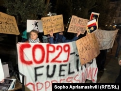 Протест Греты Тунберг против COP29, Тбилиси, 11 ноября 2024 года.