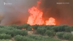 В Испании горят тысячи гектаров леса (видео)