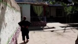 یو شاعر چې د نفقې په پيدا کولو پسې سرګردانه دی
