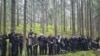 Мігранты, якіх спынілі памежнікі Латвіі на мяжы зь Беларусьсю 