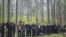 Мігранты, якіх спынілі памежнікі Латвіі на мяжы зь Беларусьсю 