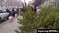 Елочный базар под дождем в Севастополе
