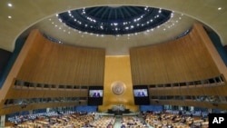 The UN General Assembly (file photo)