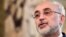 علی‌اکبر صالحی، معاون رئیس‌جمهوری و رئیس سازمان انرژی اتمی ایران