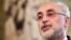 Ali Akbar Salehi, head of the Iranian nuclear program, speaks during a meeting at Accademia dei Lincei in Rome, October 10, 2017