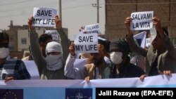 Kontraktorët afganë duke protestuar në Herat, më 9 qershor.