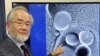 دانشمند ژاپنی برنده نوبل پزشکی ۲۰۱۶ شد