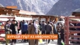 Оё воридот аз Афғонистон нархи гӯшт дар Тоҷикистонро поин хоҳад бурд?