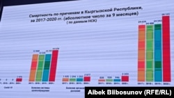 Мекемелер аралык комиссиянын презентациясынын учурунда тартылган сүрөт.