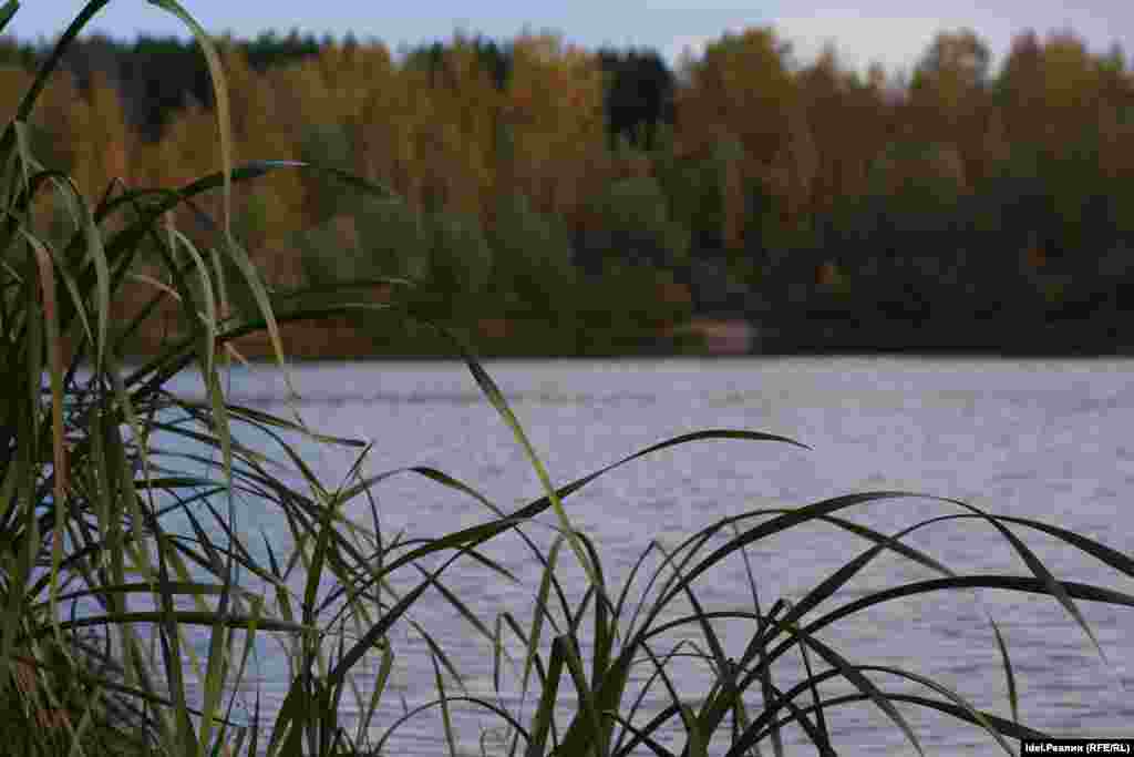 Озеро Чистое. Попавшиеся навстречу женщины-садоводы рассказывают, что красивейшее когда-то озеро в былые времена разливалось по деревенским улицам. А потом становилось все меньше и меньше с одновременным ростом &quot;города&quot; из дач и коттеджей вокруг него.