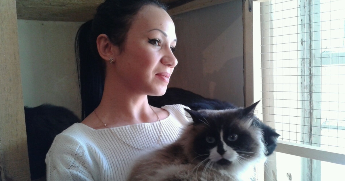 Балапан және сорғыштағы үлкен фаллус