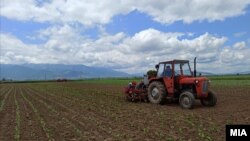 Një fermer në Maqedoninë e Veriut duke punuar tokën. Fotografi nga arkivi. 