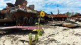 UKRAINE – Destroyed Russian military vehicles are seen at a compound of an agricultural farm, which was used by Russian troops as a military base during Russia's attack on Ukraine, in Kharkiv Region, July 17, 2022