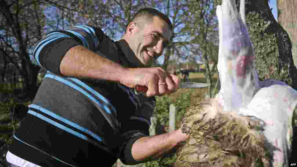 A member of local Muslim community skins a sheep after it was sacrificed during the celebrations of Eid al-Adha (Kurban Bairam) in the Belarus city of Hrodno, some 300 km from Minsk.