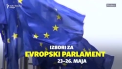 Evropski izbori, ekstremna desnica i veze s Rusijom