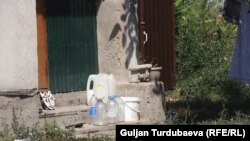 Иллюстарциялык сүрөт.