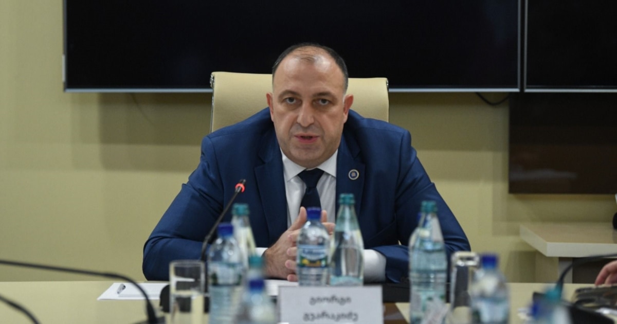 გენერალური პროკურორობის კანდიდატად გიორგი გვარაკიძე შეარჩიეს
