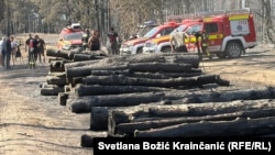 Izgorela debla u selu Grebenac u Deliblatskoj peščari, 24. avgust 2026.