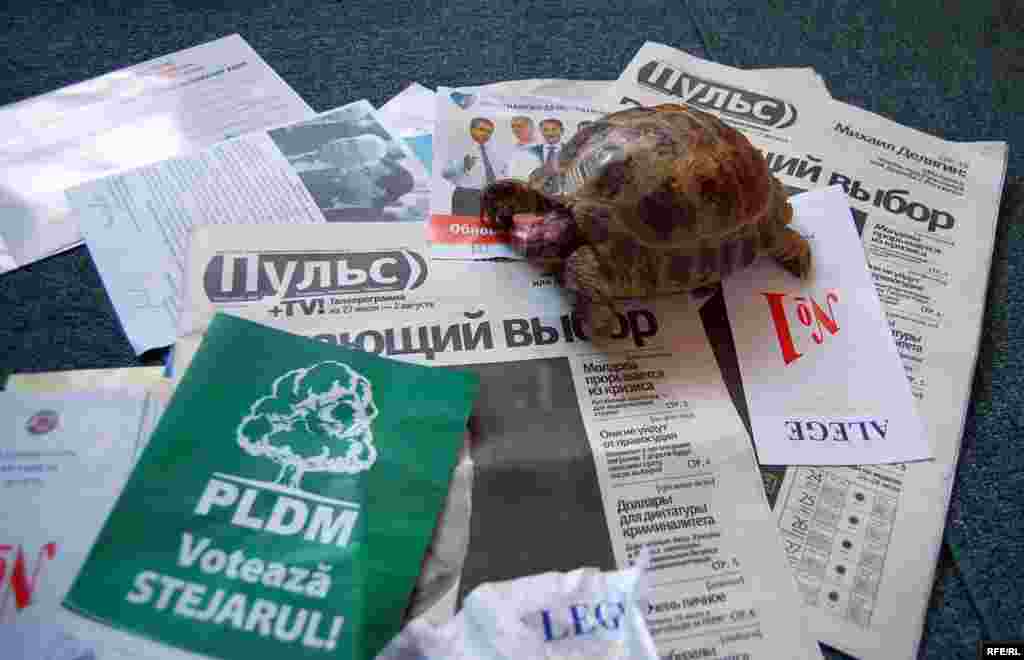 Lecturi neobligatorii (4) - Foto: Cristian Teleucă