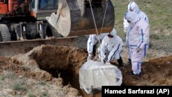 مسئولان صحی ولایت هرات می‌گویند، از آغاز شیوع ویروس کرونا تا کنون ۳۲۲ تن در این ولایت مبتلا شده اند.