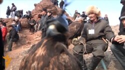 Hunting With Golden Eagles In Kazakhstan