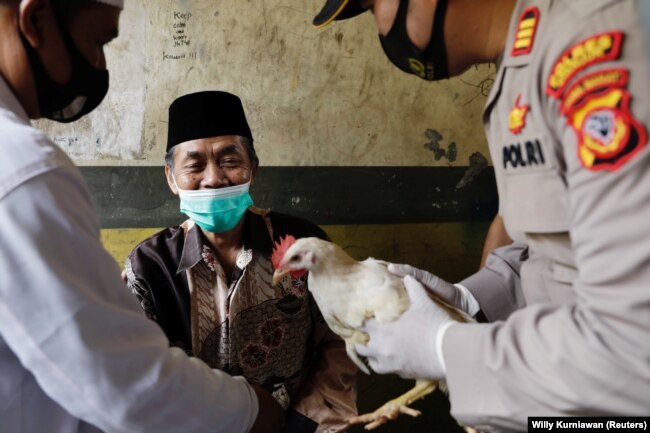 Lili Dinata, 72-godišnji mještanin sela Sindanglaya, dobiva kokošku nakon što je primio prvu dozu vakcine protiv COVID-19, tokom vakcinacije "od vrata do vrata" u Regentstvo Cianjuru, provinciji Zapadna Java, Indonezija, 15. juna 2021.