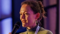 Член Платформы ПАСЕ для диалога с российскими демократическими силами Лана Пылаева. Архивное фото 