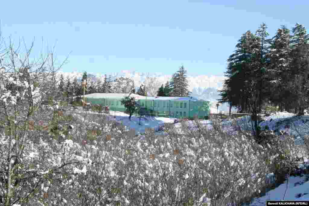 ზუგდიდი