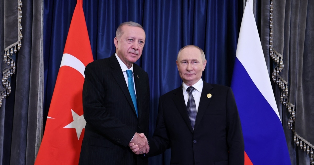 ერდოანი ჩინეთში შეხვდა პუტინს, ალიევს და ფაშინიანს